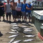 071818 King Mackerel | Fishing Report Ocean City Maryland
